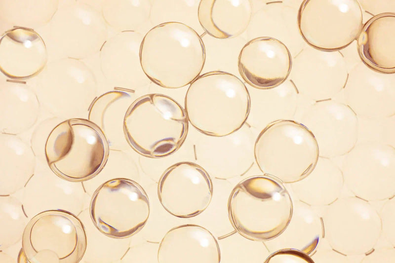 Ceramides
